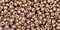 Toho 11/0 Round Japanese Seed Bead, TR11-1704, Gilded Marble Lavender
